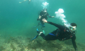 plongée sous marine