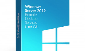 Windows Server 2019 Remote Desktop Server 50 Users CAL Key