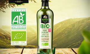 Olive Oil BIO