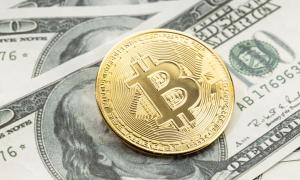 USDTخدمة إدارة محفظة
