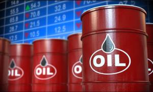 Diesel Fuel Trading License for SALE