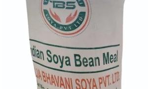 Soya Bean