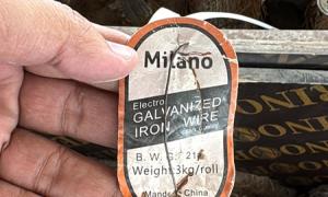 Iron Galvanized wire