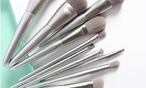 Makeup Brushes
